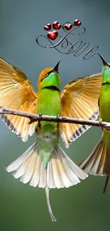 Two green birds on a branch with love accent.