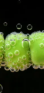 Green peapods in bubbles on black background