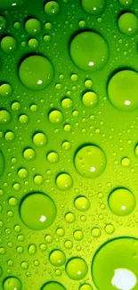 Vibrant green bubbles wallpaper with a refreshing and dynamic design.