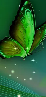 Vibrant green butterfly with glowing background.