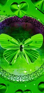 Green butterfly wallpaper with heart patterns.