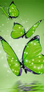 Green butterflies with sparkling stars on a serene mobile wallpaper.