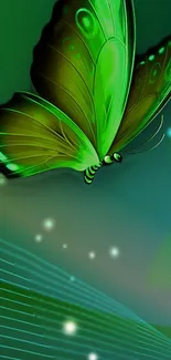 Green butterfly with glowing effect on mobile wallpaper.