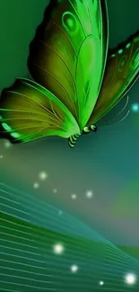 Vibrant green butterfly with glowing accents on a serene background.