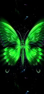 Neon green butterfly in dark wallpaper design.