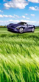 A sleek car in a lush green field under a blue sky with fluffy clouds.