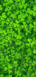 Green clover leaves mobile wallpaper with vibrant nature design.