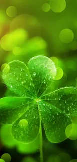 Green clover with dew drops on vibrant background.