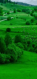 Lush green countryside with rolling hills and trees.