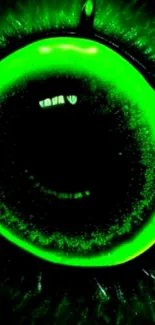Vibrant green eye pattern wallpaper design.