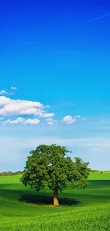 Lush green field with a solitary tree under a vibrant blue sky.