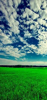 Vibrant green field with cloudy sky.