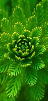 Close-up of vibrant green floral pattern wallpaper.