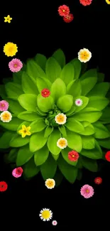 A vibrant green flower on a black background wallpaper.