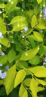 Close-up of vibrant green leaves with delicate purple flowers.