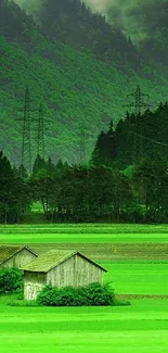 Serene green forest landscape with rustic cabins and lush trees.