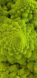 Vibrant green fractal pattern resembling nature.