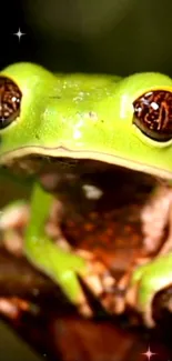 A vibrant green frog with sparkling eyes on a natural background.