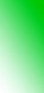 Bright green gradient mobile wallpaper for a fresh and lively look.