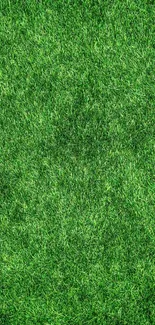 Vibrant green grass texture wallpaper for mobile.