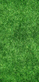 Vibrant green grass texture mobile wallpaper.