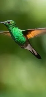 Vibrant green hummingbird in flight on a serene nature background.