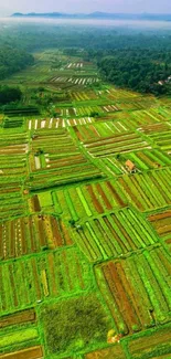 Aerial view of vibrant green fields and forests stretching to the horizon.