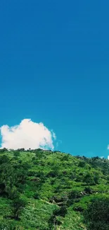 Lush green hills under a bright blue sky.