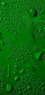 Green leaf with dewdrops wallpaper for phones.