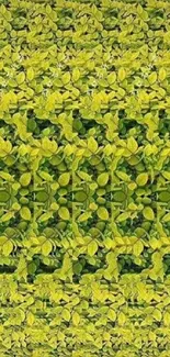 Vibrant green leaf pattern wallpaper for mobile screens.