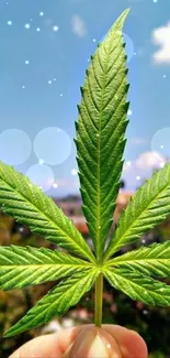 A vibrant green leaf held up against a clear blue sky with fluffy clouds.