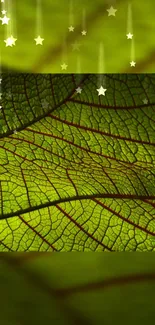 Green leaf texture with starry background for mobile.