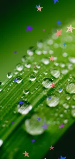 Close-up of a green leaf with water droplets for a refreshing wallpaper.