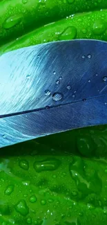 Vibrant green leaf with droplets and a blue feather.