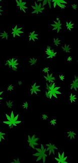 Vibrant green leaves on a black background wallpaper.