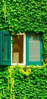 Open window on green leafy wall wallpaper.