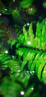 Green ferns and leaves with glowing lights mobile wallpaper.