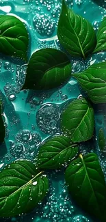 Vibrant green leaves on turquoise background.
