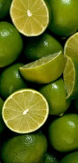 Vibrant green lime wallpaper with citrus slices.