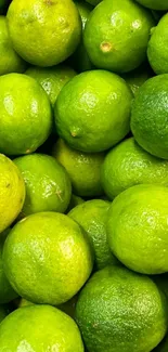 Bright green limes stacked together in a vibrant display of freshness.