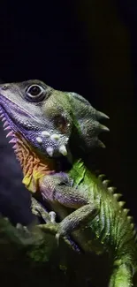 Green lizard on branch in forest with vibrant colors.