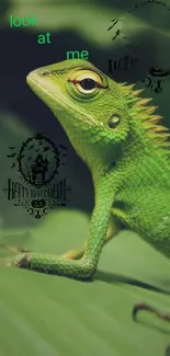 Close-up of a green lizard on a leaf with Happy Halloween text.