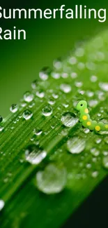 Green leaf wallpaper with raindrops and a caterpillar.