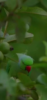 Vibrant green parrot among lush, leafy foliage on a mobile wallpaper.