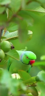 A vibrant green parrot perched among leaves in a nature scene.