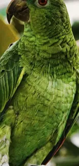 Close-up of a vibrant green parrot against a nature background.