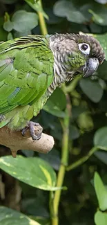 Green parrot perched on a branch in lush foliage.