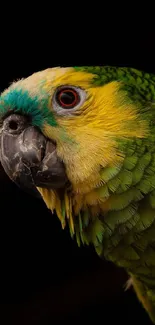 Close-up of a vibrant green parrot with colorful feathers.