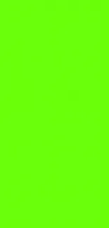 Bright green mobile phone wallpaper design.
