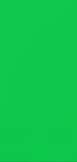 Vibrant green mobile wallpaper with minimalist design.